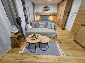 Horský apartmán Benecko by AlkaTravel, Benecko